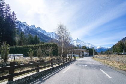 Forêt des Tines