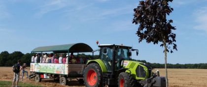 La Ferme du Prunay