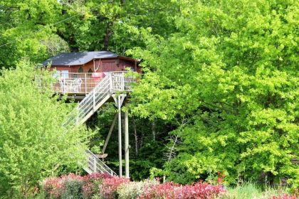 Cabanes dans les arbres