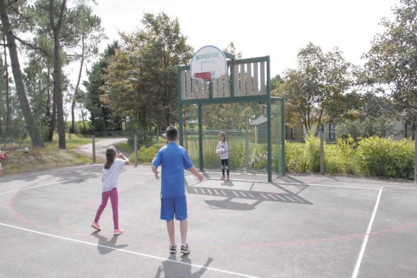 Terrain de basketball